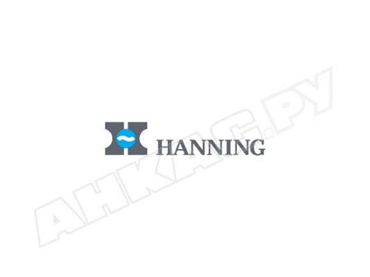 Электродвигатель HANNING OE7D2B-008 450 Вт арт. 7747209801-BB