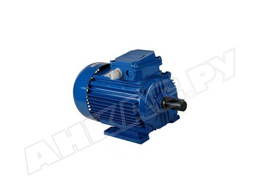 Электродвигатель ECOFLAM 4,0 кВт 400/690V D28 арт. 65312556