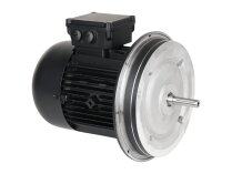 Электродвигатель Weishaupt W-D112/140-2/3K0, арт: 25171707010