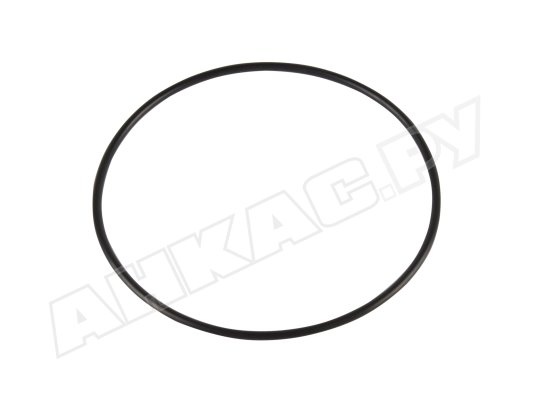 Уплотнительное кольцо Piusi R10273000 Уплотнительное кольцо Piusi R10273000