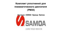 Комплект уплотнений для пневматического двигателя (PM35)
