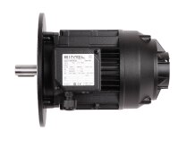 Электродвигатель Simel (31/3030-54) 65322808