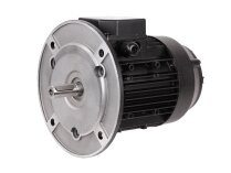 Электродвигатель Simel (31/3030-54) 65322808