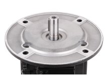 Электродвигатель Simel (31/3030-54) 65322808