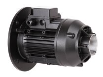 Электродвигатель Simel (31/3030-54) 65322808