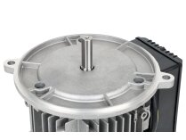 Электродвигатель FBR XD 6/207, 370 Вт, арт: 158123.