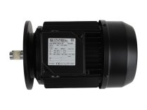 Электродвигатель Simel 49/80R-1100-2T IE3