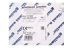 Регулятор давления газа Giuliani Anello FG1B40, арт: 009.0254.101. Регулятор давления газа Giuliani Anello FG1B40, арт: 009.0254.101.