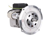 Электродвигатель Riello RH Y 110, арт: 3013751