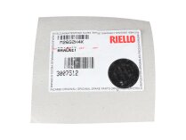 Кронштейн с винтом Riello 3007512