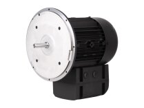 Электродвигатель Weishaupt WM-D112/140-2/3K5 21520407300 Альт. арт: We21520407300.