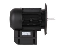 Электродвигатель Weishaupt WM-D112/140-2/3K5 21520407300 Альт. арт: We21520407300.