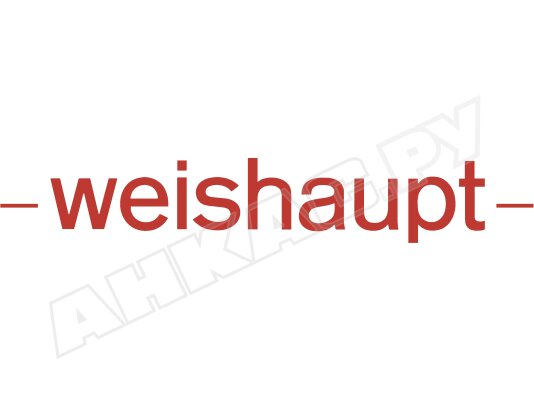 Уплотнительное кольцо Weishaupt 445519