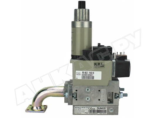 Газовая рампа Riello MBZRDLE 405 B01 S20 B, арт: 3970540