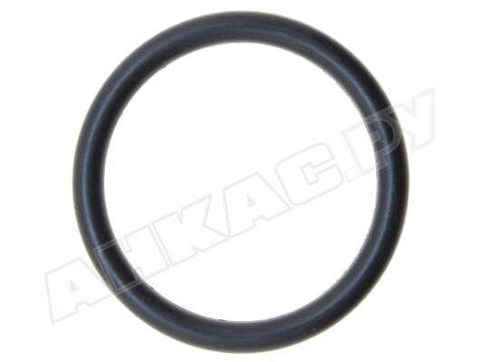 Уплотнительное кольцо Weishaupt 23205014047