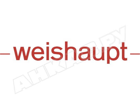 Стопорная шайба Weishaupt 431620