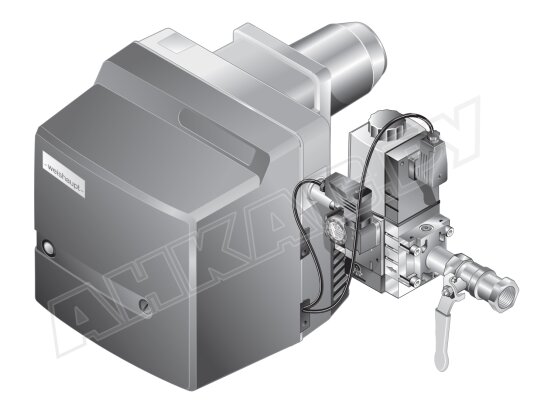 WG 10 N/1-C, 3/4, исп. Z-LN. Горелка газовая, без термозатвора