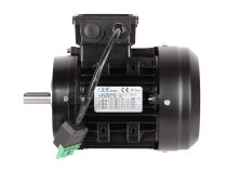 Электродвигатель Elco EF/80R-1500-2T