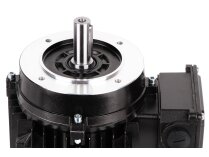 Электродвигатель Elco EF/80R-1500-2T