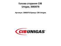 Голова сгорания CIB Unigas, 3060078