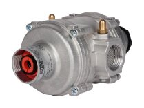 Регулятор давления газа Madas FR2LB DN 25 Chukotka, арт: FR2LB04Z-CHR 120.