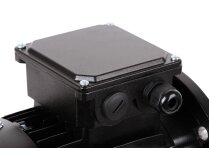 Электродвигатель RUF RU3003967