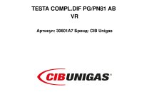 TESTA COMPL.DIF PG/PN81 AB VR