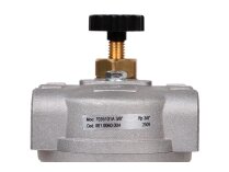 Жидкотопливный фильтр Giuliani Anello 70351/01A, арт: 001.0060.004.