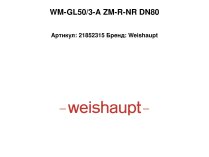 WM-GL50/3-A ZM-R-NR DN80