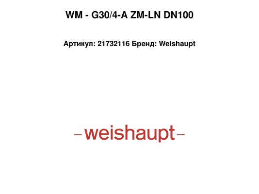 WM - G30/4-A ZM-LN DN100