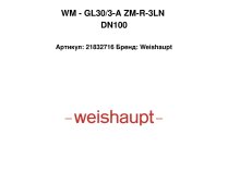 WM - GL30/3-A ZM-R-3LN DN100
