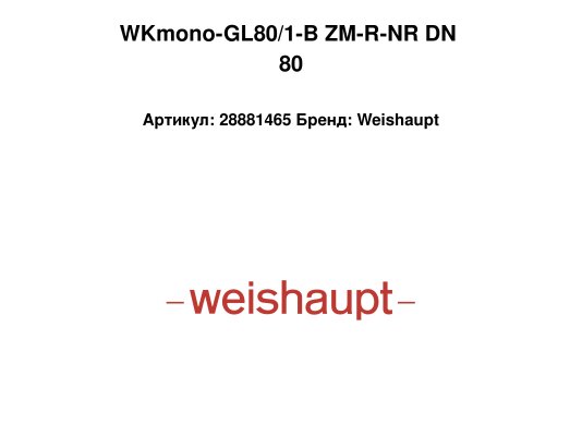 WKmono-GL80/1-B ZM-R-NR DN 80