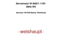 Servomotor W-St02/1 110V 60Hz W5
