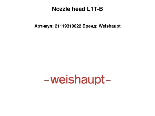 Nozzle head L1T-B