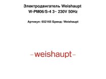 Электродвигатель Weishaupt W-PM06/S-4 3~ 230V 50Hz