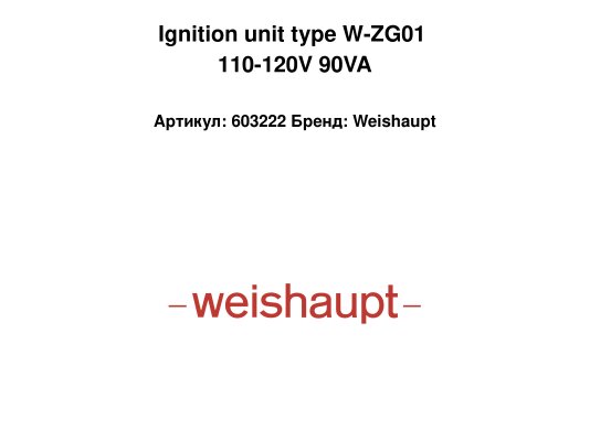 Ignition unit type W-ZG01 110-120V 90VA