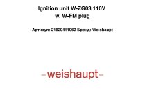 Ignition unit W-ZG03 110V w. W-FM plug