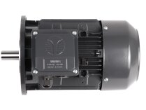 Электродвигатель CIB Unigas IMM 90 LB2, арт: 2180256