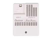 Внешний сенсор на угарный газ Seitron RGD C01, арт: RDCKN10001KP