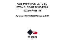 GAS P450/M CE-LX TL EL EVO+ R. CE-CT DN65-FS65 002946R056176