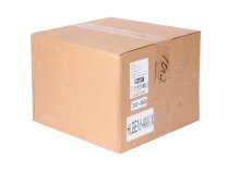 Газовая горелка RUF RTG 6 MV-DLE 205, арт: RU17040010-RU19990466.