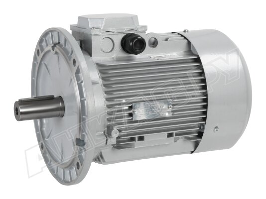 Электродвигатель CIB Unigas IMM 132 SB2 Y2 IM308, арт: 2180206P.